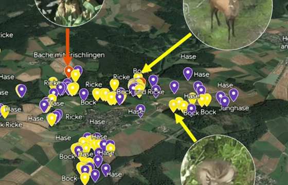 Natur & Tierschutz 2